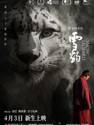 热门推荐